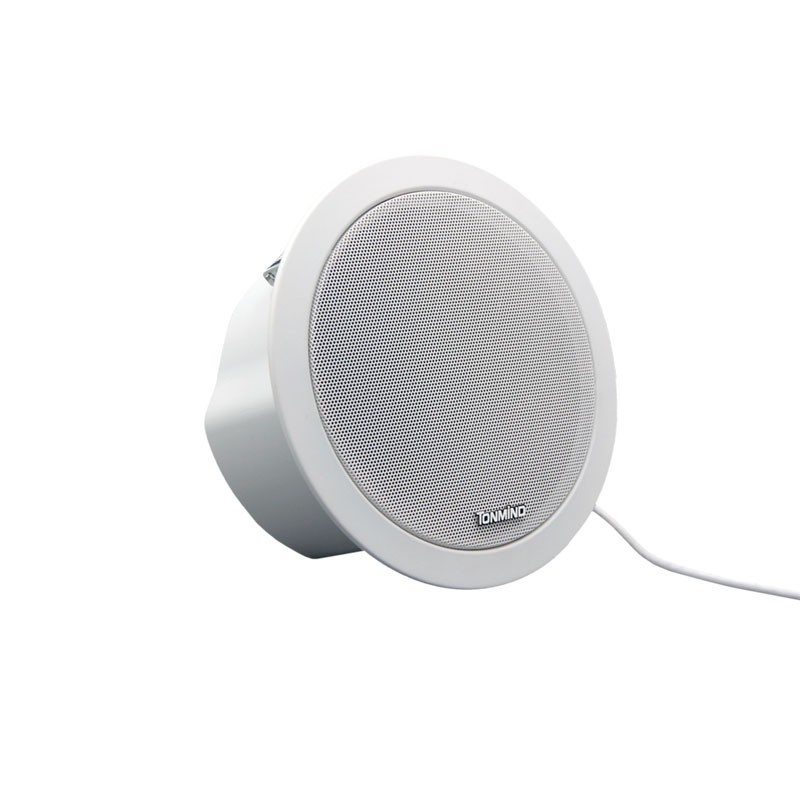 Commercial Ceiling Speaker